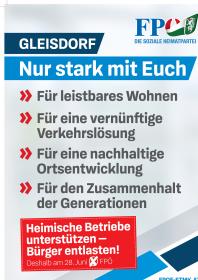Wir Steirer Juni 2020 zur Gemeinderatswahl  28.6.2020 Seite 8