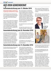 Wir Steirer Ausgabe Jänner 2019 Seite 2
